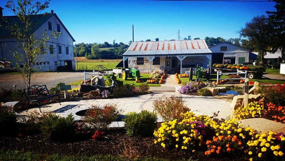 Wasson Farm Market 